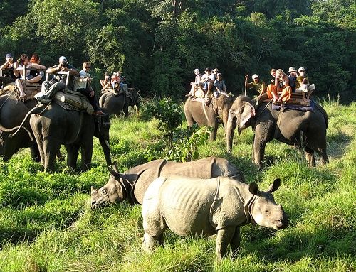 Chitwan National Park